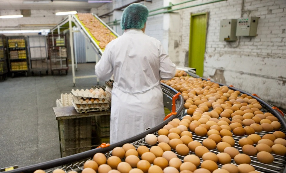 Красраб. Сибирский новостной портал