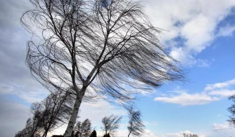 Красраб. Сибирский новостной портал