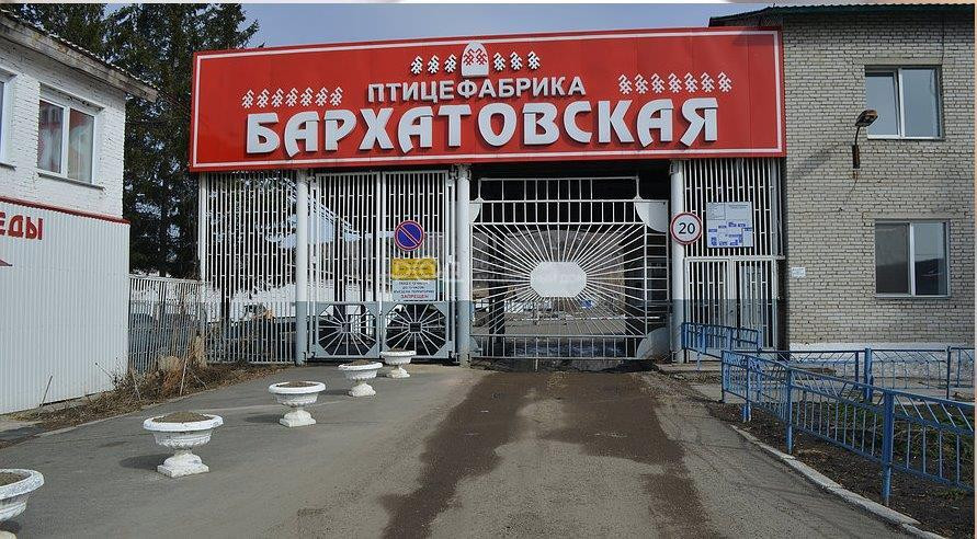 Красраб. Сибирский новостной портал