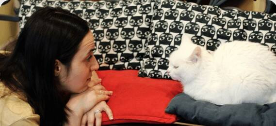 Красраб. Сибирский новостной портал