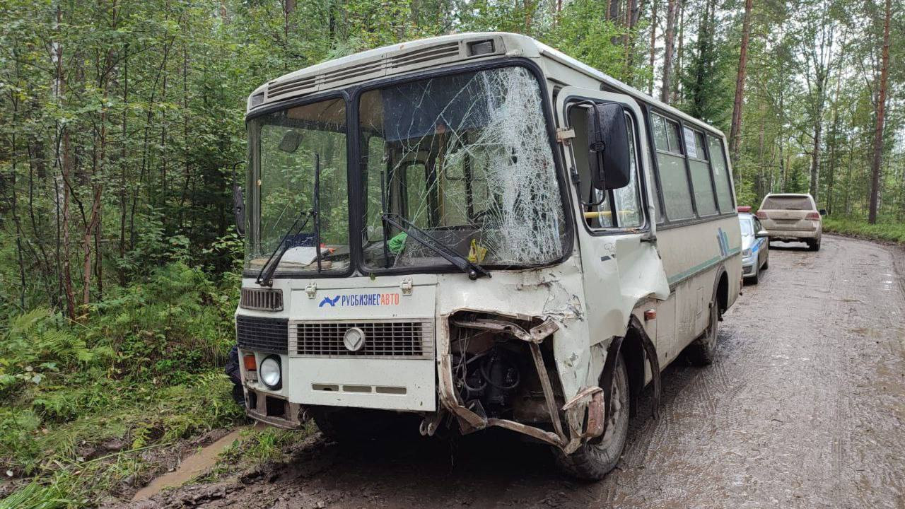 В Красноярском крае 7 пассажиров автобуса пострадали в ДТП на трассе.  Красноярский рабочий