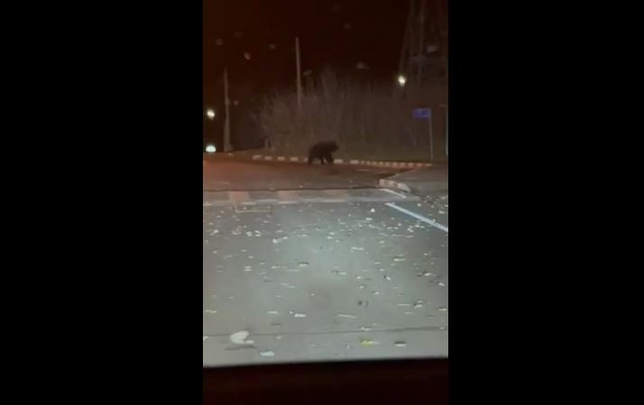 Красраб. Сибирский новостной портал