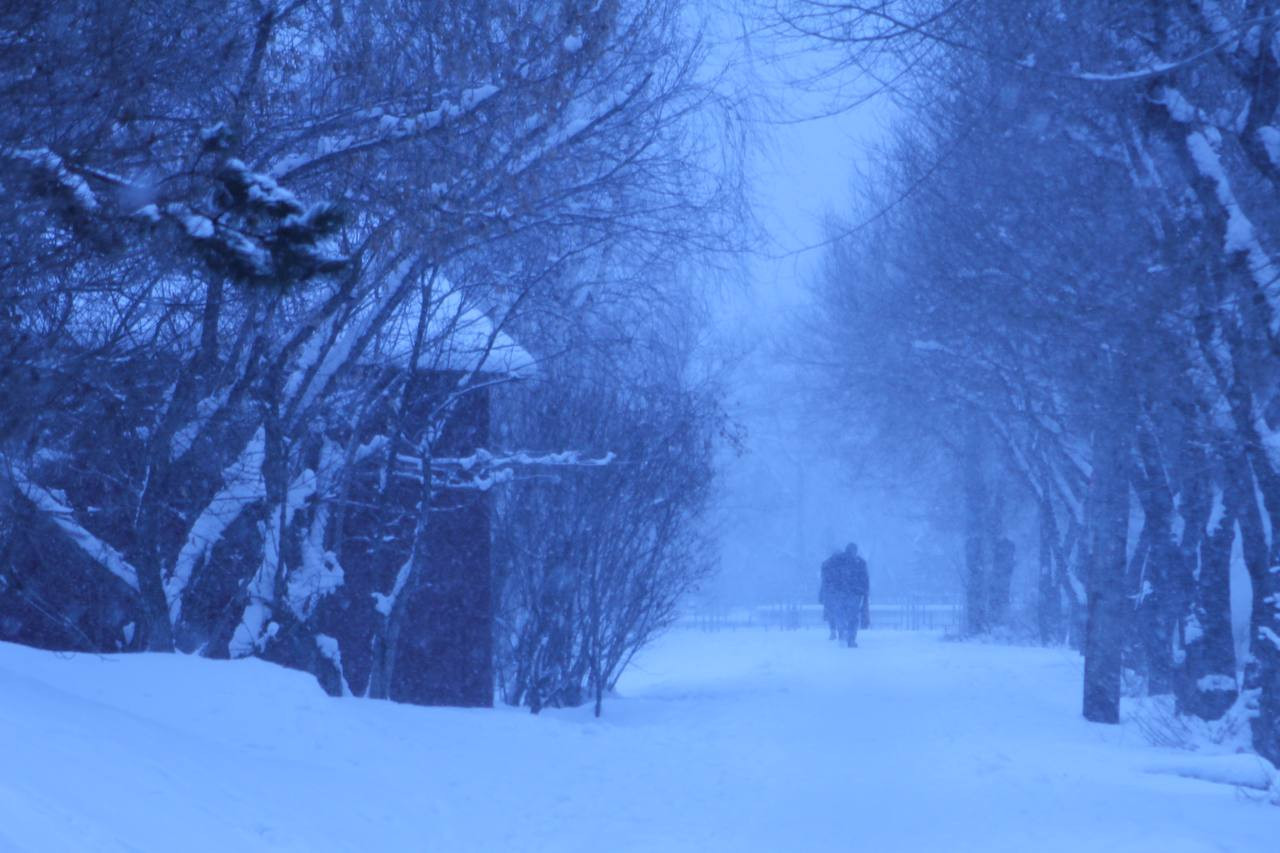 Красраб. Сибирский новостной портал