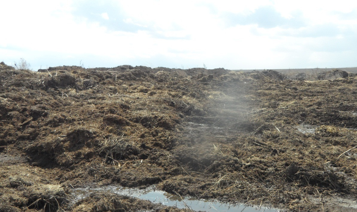 Красраб. Сибирский новостной портал