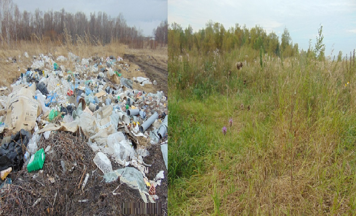 Красраб. Сибирский новостной портал