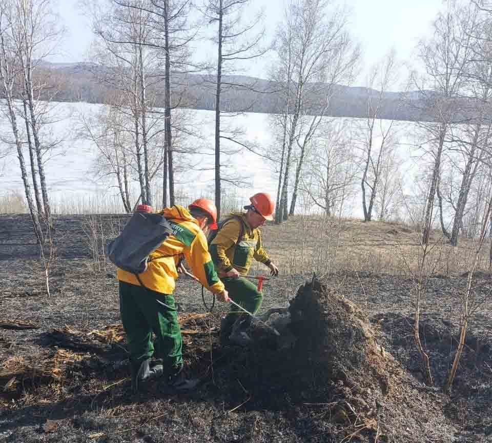 Красраб. Сибирский новостной портал