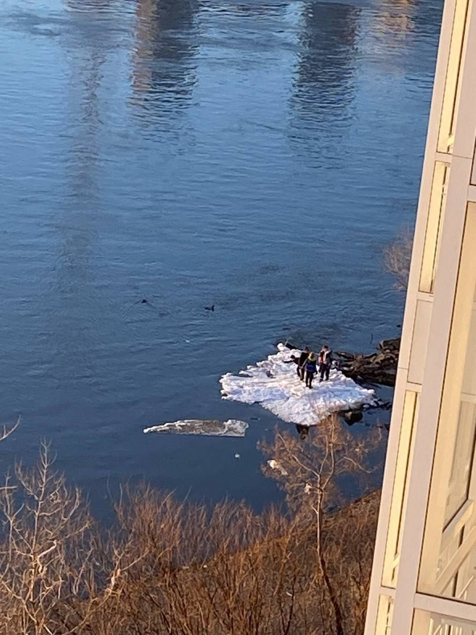 Красраб. Сибирский новостной портал