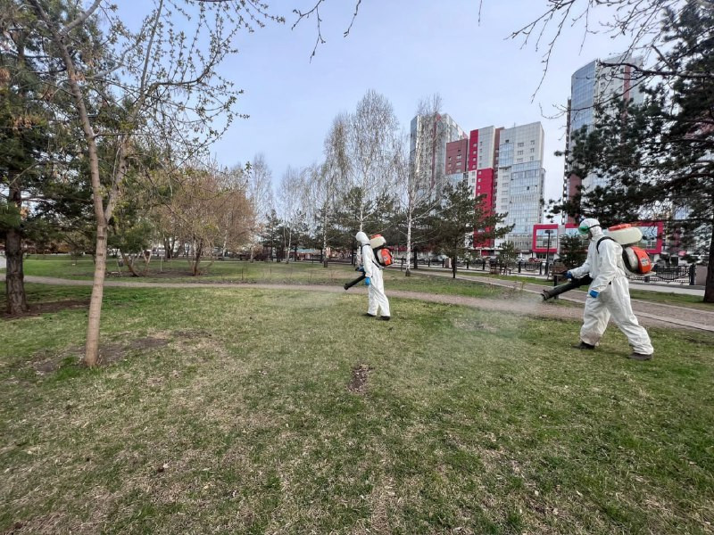 Красраб. Сибирский новостной портал