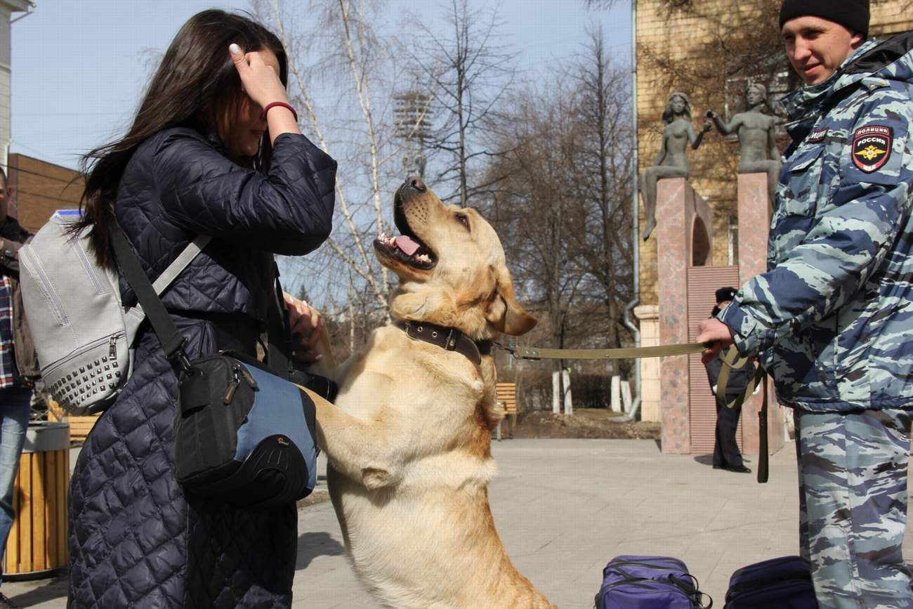 Работа в полиции красноярск