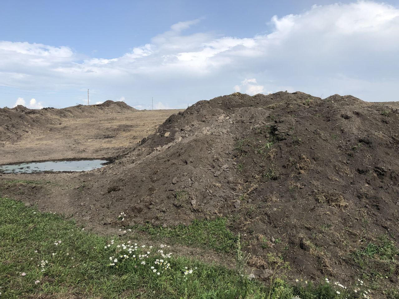 В Ачинске фермера оштрафовали на 20 тысяч за уничтожение 1,85 га ...