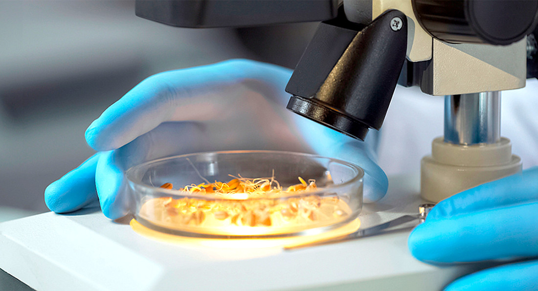 Красраб. Сибирский новостной портал