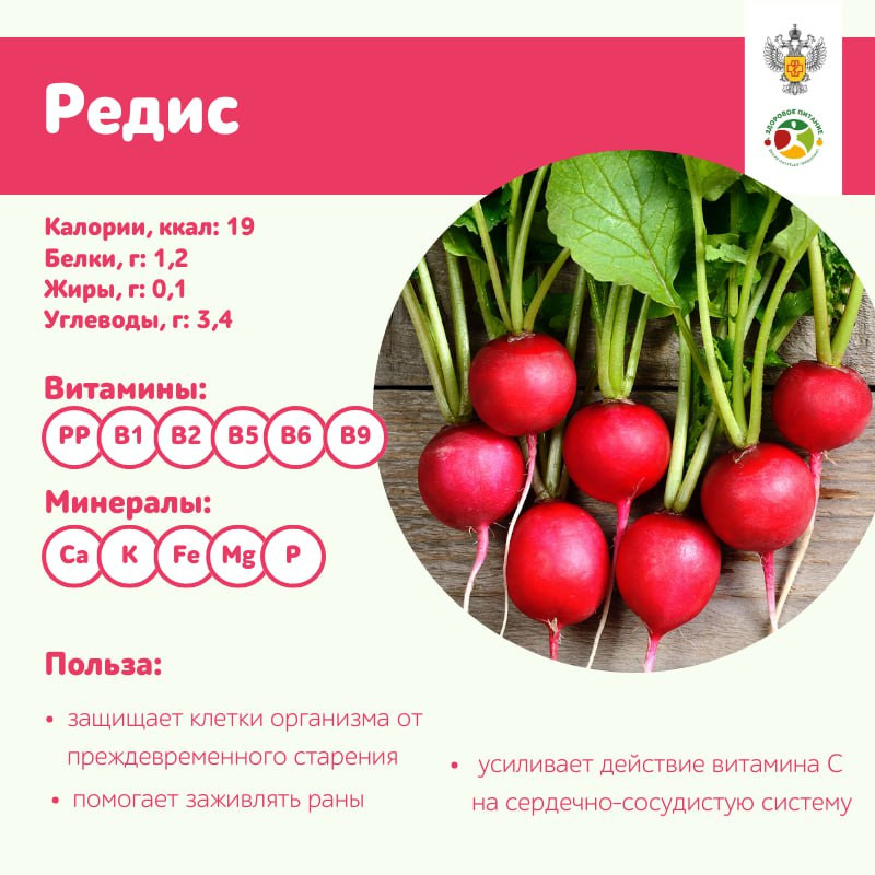 Красраб. Сибирский новостной портал