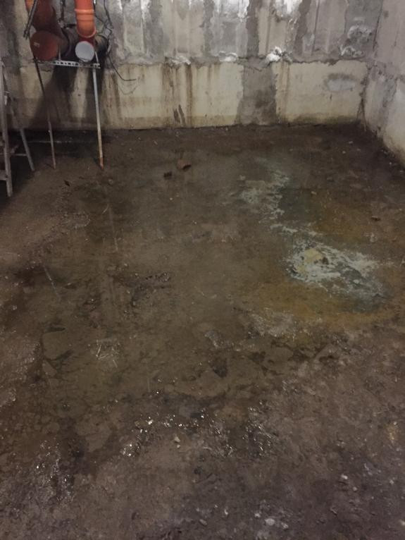 Красраб. Сибирский новостной портал