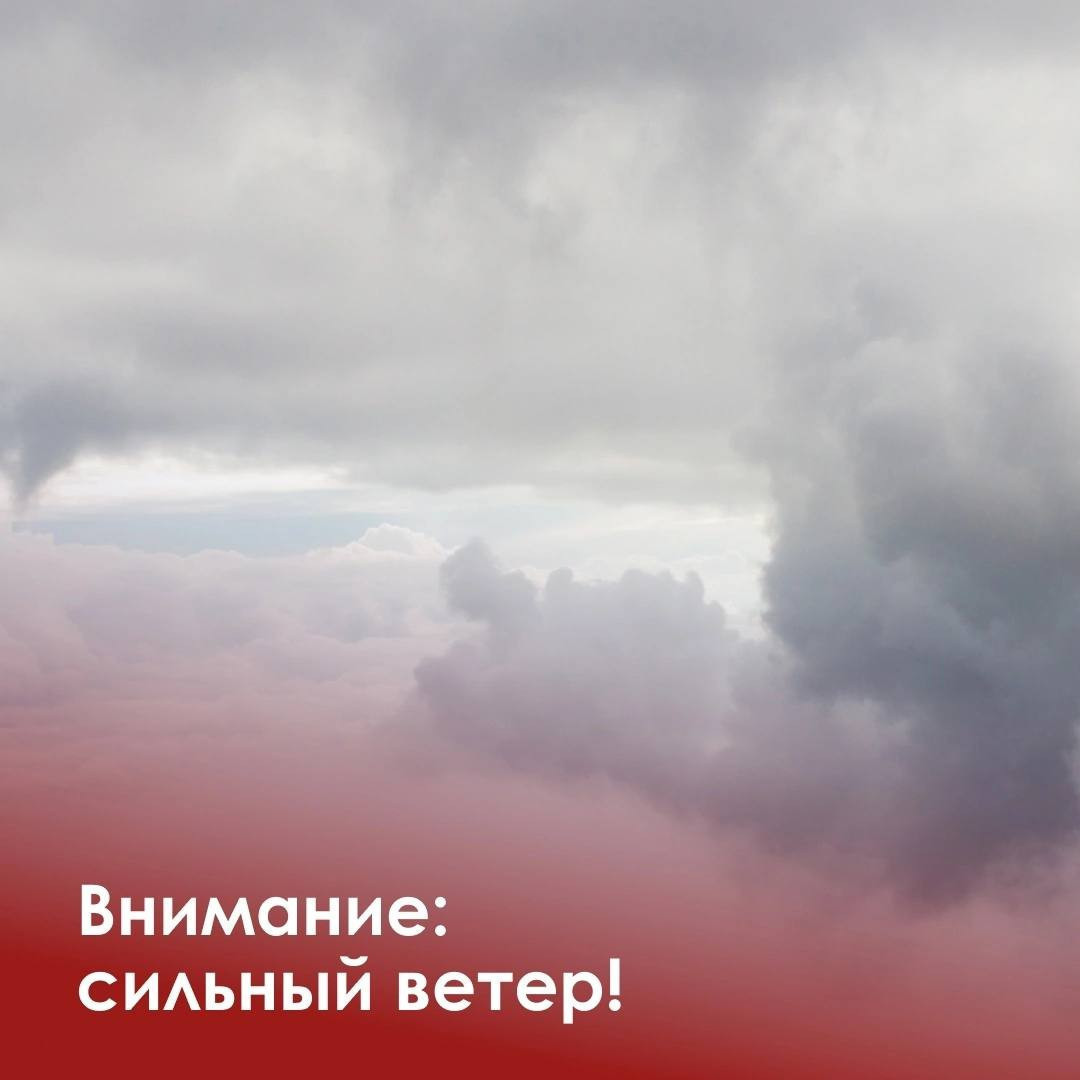 Красраб. Сибирский новостной портал