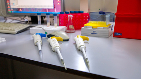 Красраб. Сибирский новостной портал