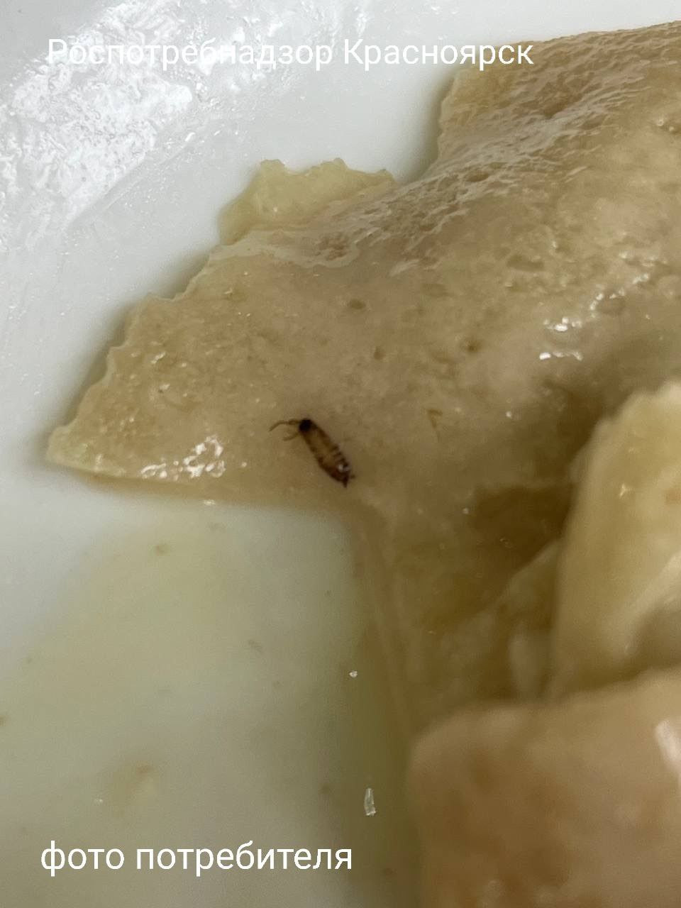 Красраб. Сибирский новостной портал