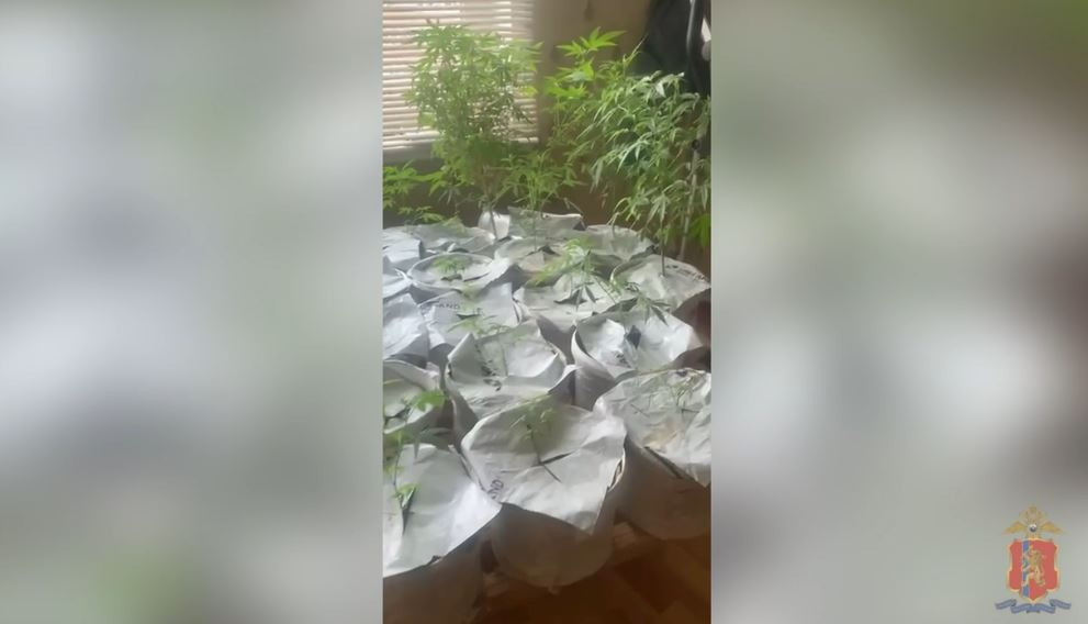 Красраб. Сибирский новостной портал