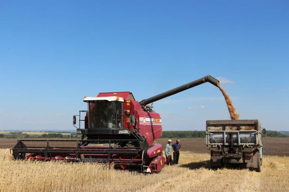 Красраб. Сибирский новостной портал