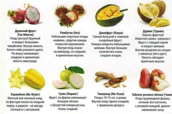Красраб. Сибирский новостной портал