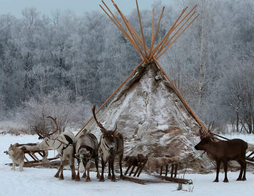 Красраб. Сибирский новостной портал
