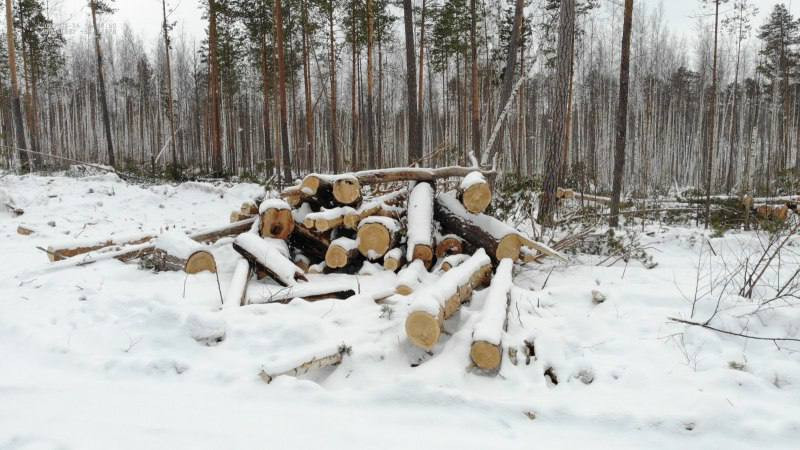 Красраб. Сибирский новостной портал