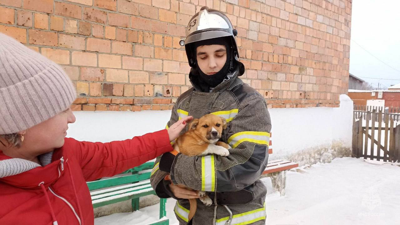 Красраб. Сибирский новостной портал