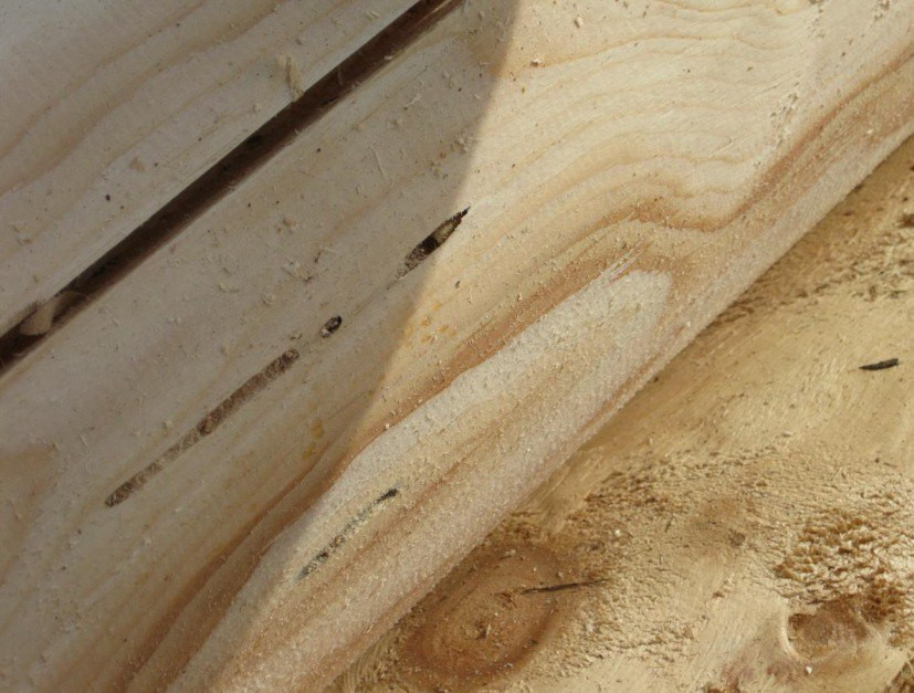 Красраб. Сибирский новостной портал