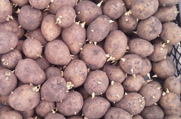 Красраб. Сибирский новостной портал