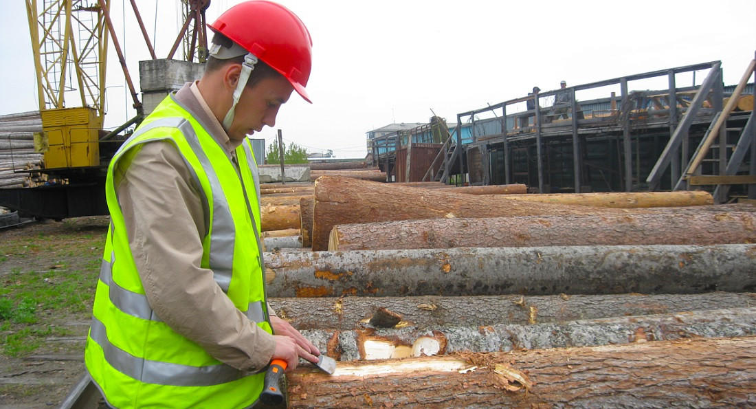 Красраб. Сибирский новостной портал