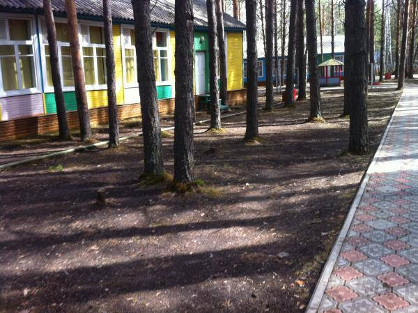 Красраб. Сибирский новостной портал