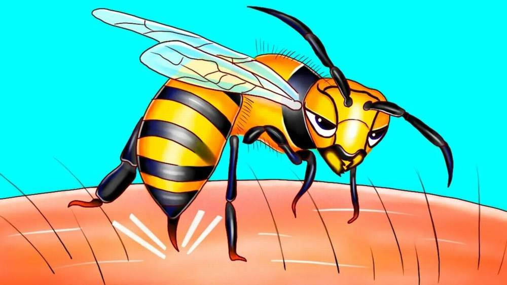 Красраб. Сибирский новостной портал