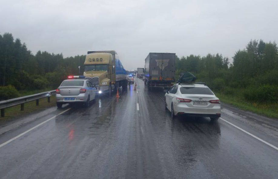 Красраб. Сибирский новостной портал