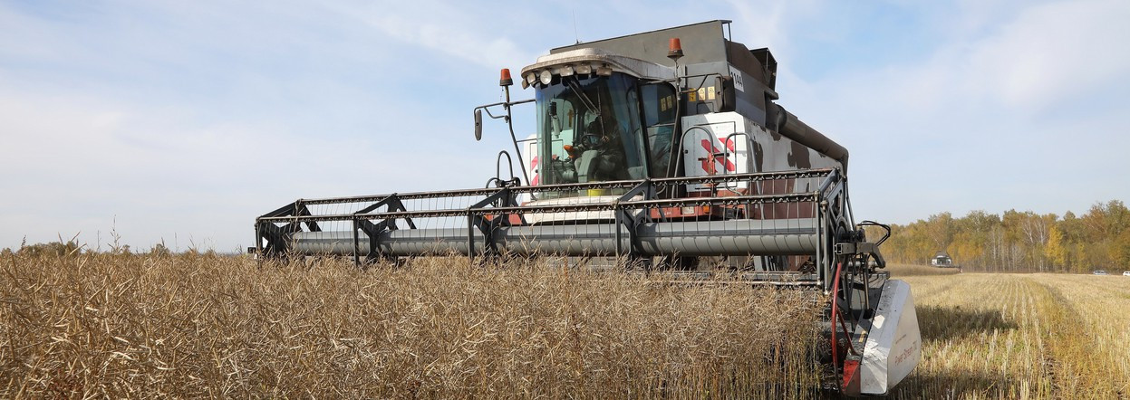 Красраб. Сибирский новостной портал