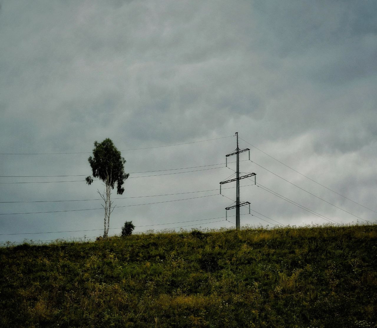 Красраб. Сибирский новостной портал