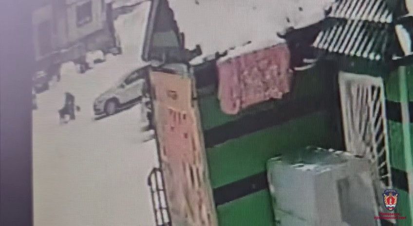 Семья школьницы получит с владельца собаки 50 тысяч рублей компенсации морального вреда