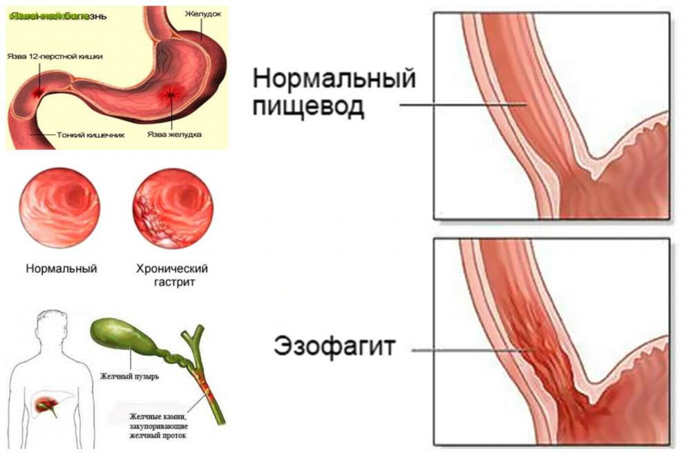 Красраб. Сибирский новостной портал