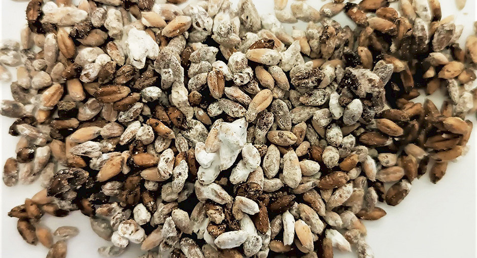 Красраб. Сибирский новостной портал