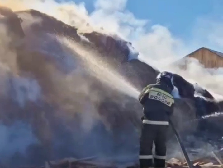 Красраб. Сибирский новостной портал