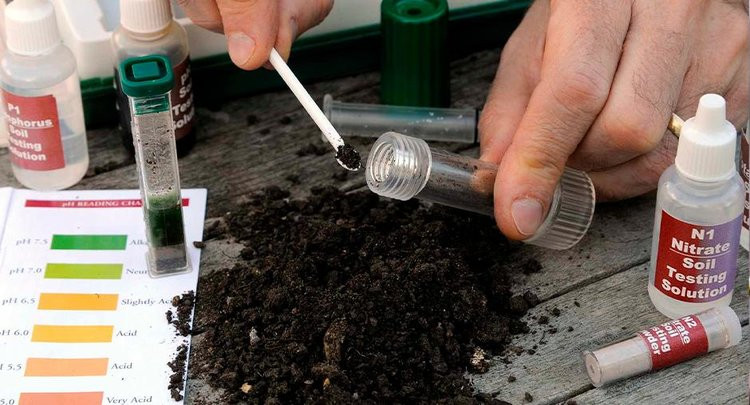 Красраб. Сибирский новостной портал