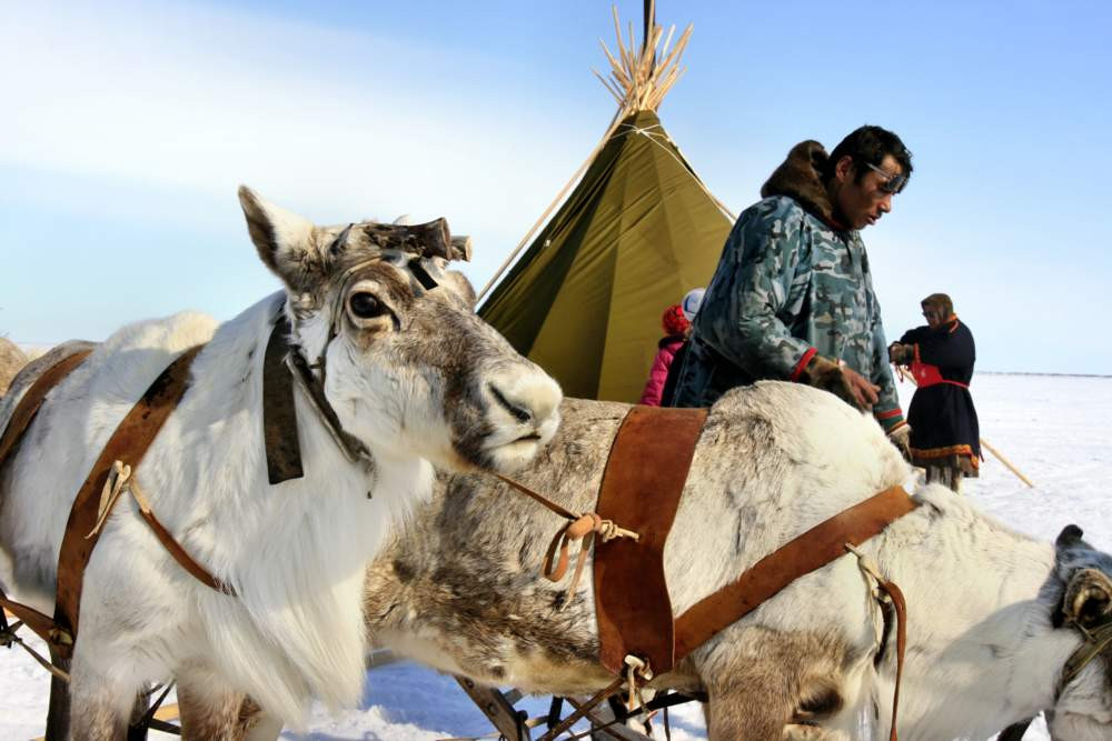 Красраб. Сибирский новостной портал