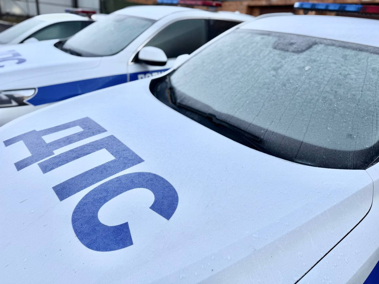 Красраб. Сибирский новостной портал