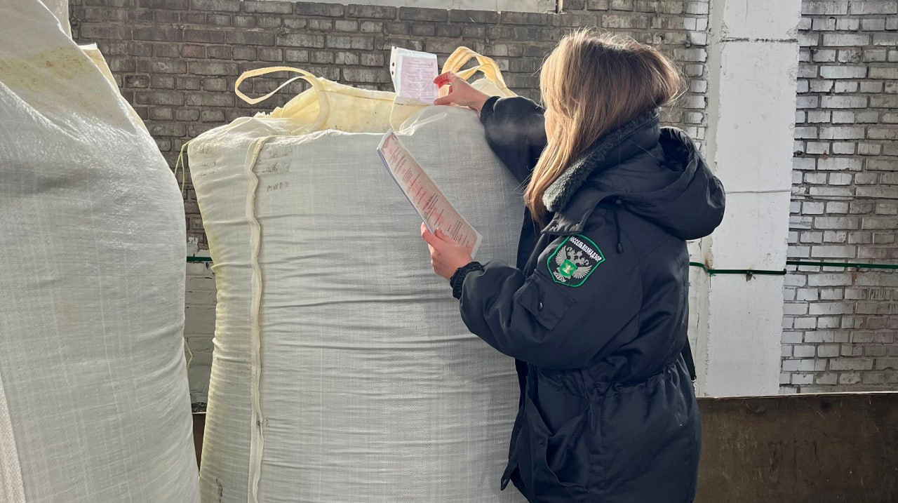 Красраб. Сибирский новостной портал