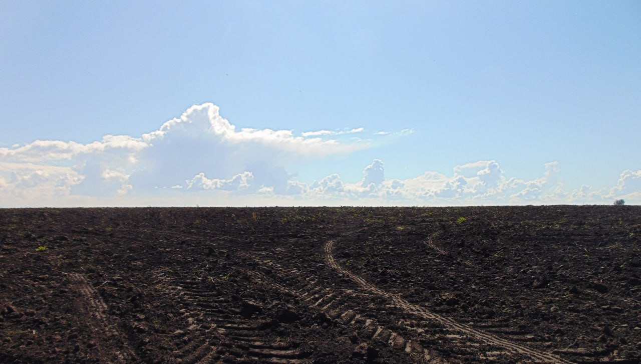 Красраб. Сибирский новостной портал