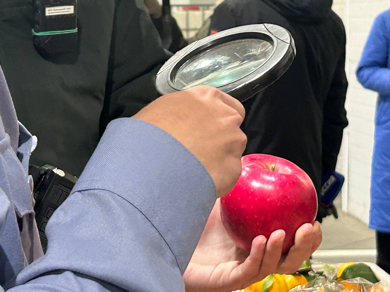 Красраб. Сибирский новостной портал