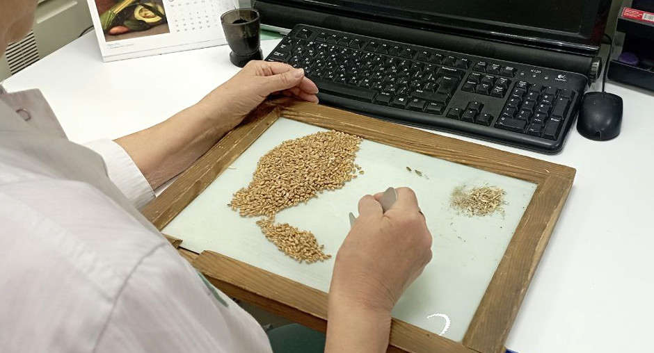 Красраб. Сибирский новостной портал