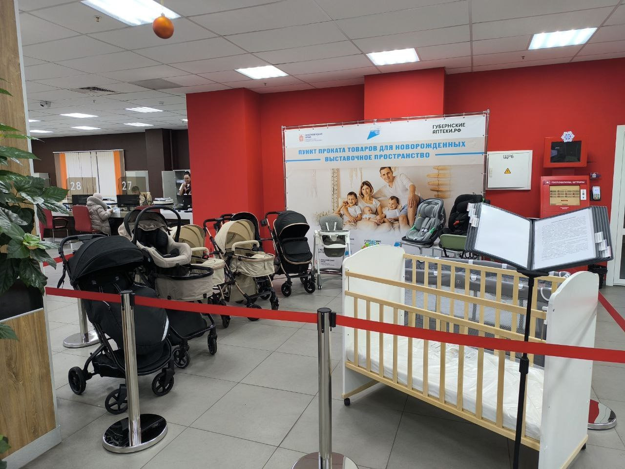 Красраб. Сибирский новостной портал