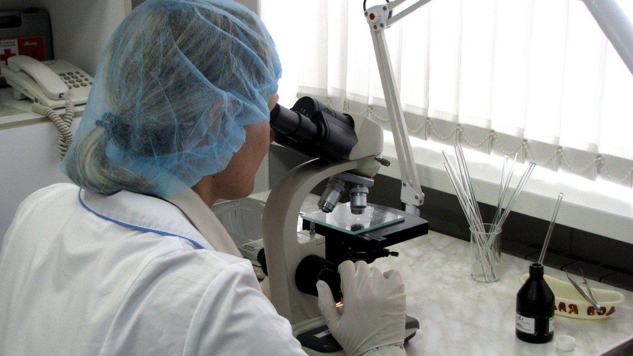 Красраб. Сибирский новостной портал