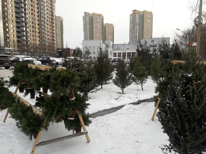 Красраб. Сибирский новостной портал