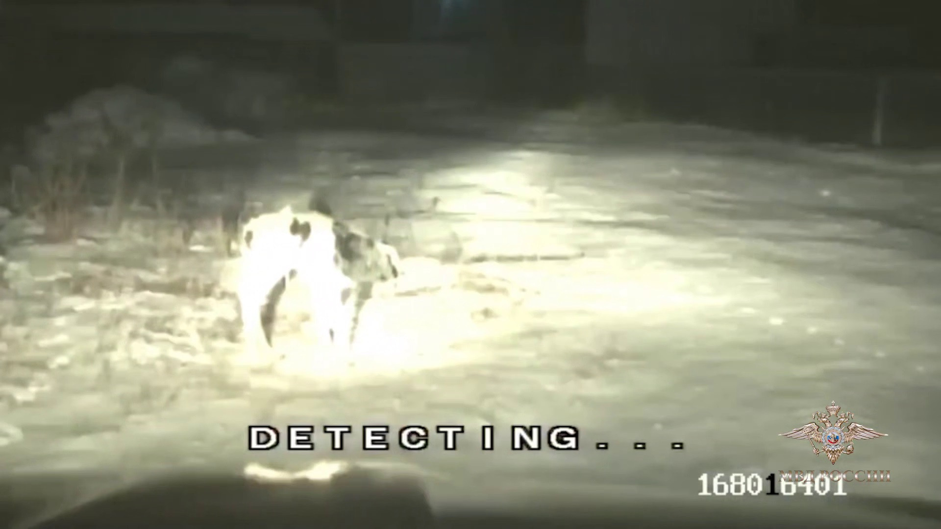 Красраб. Сибирский новостной портал