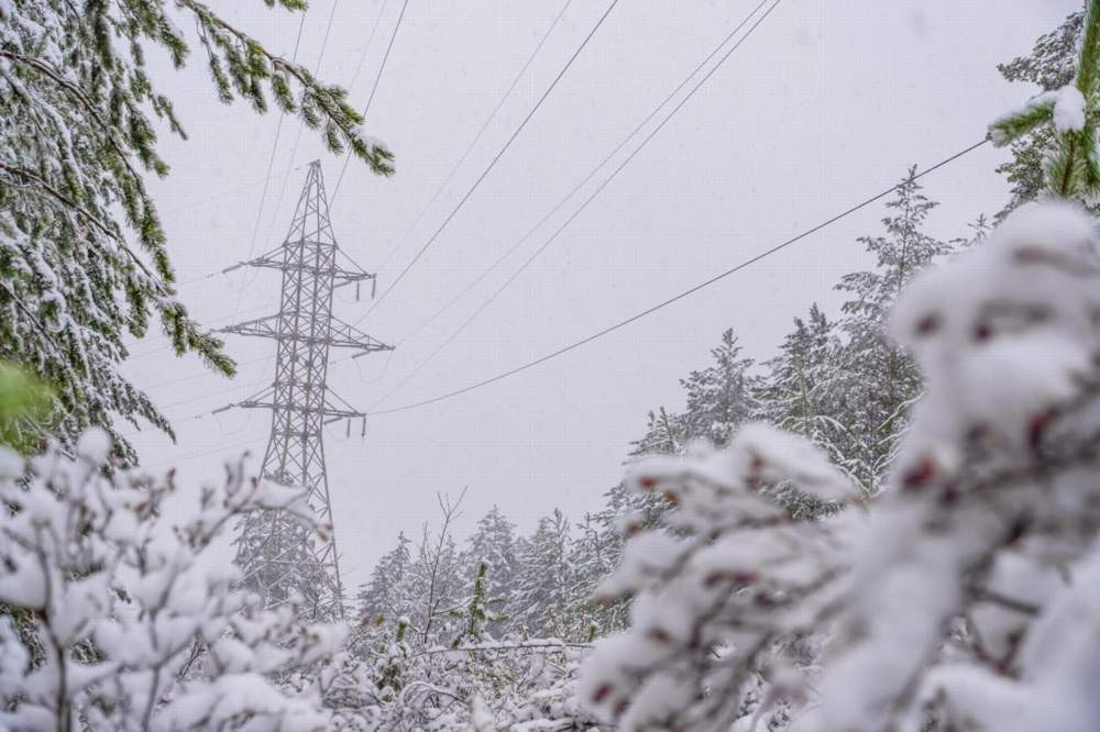 Красраб. Сибирский новостной портал